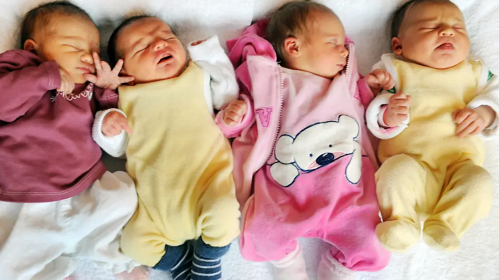 2zka3657-jpg7094880663422959531