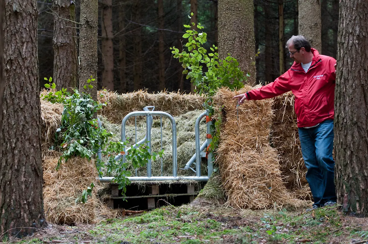 2zh22524-jpg3297769985008282006