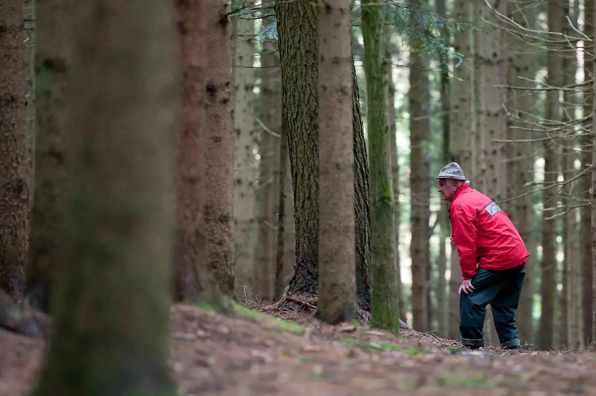 2zh22819-jpg6791643645382983428