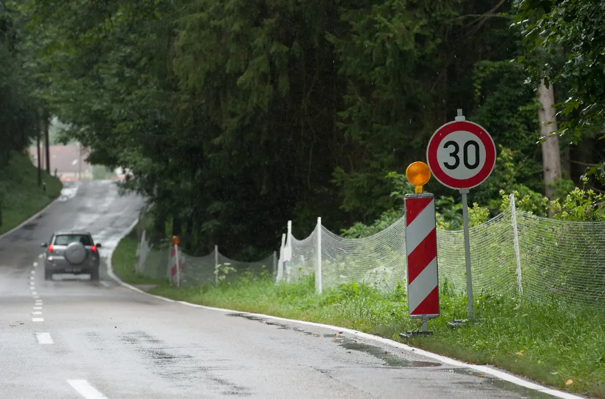 2zh23959-jpg7600827661638308847