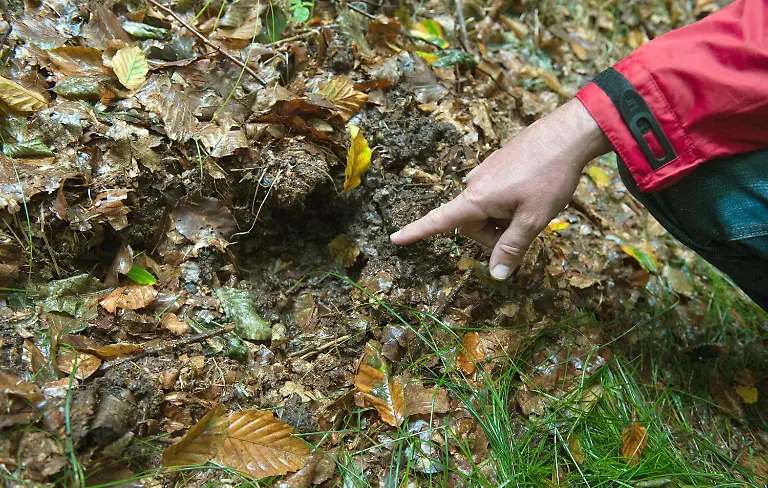 2zh24012-jpg4216461450936250353