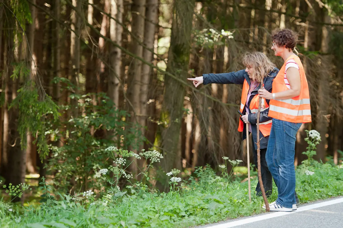 2zds3250-jpg6159250467394830783