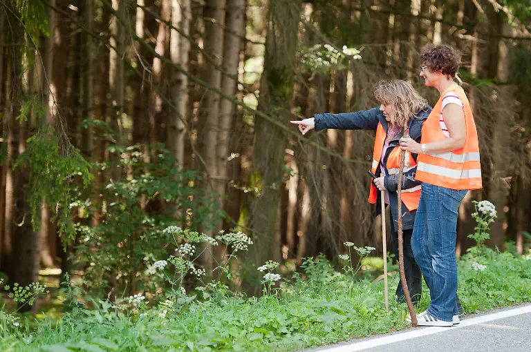 2zds3250-jpg6159250467394830783