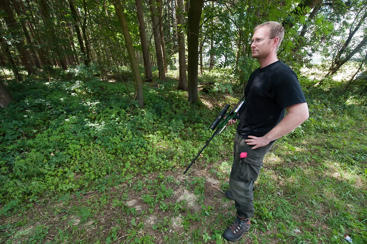 2zds1701-jpg3593094118289429461