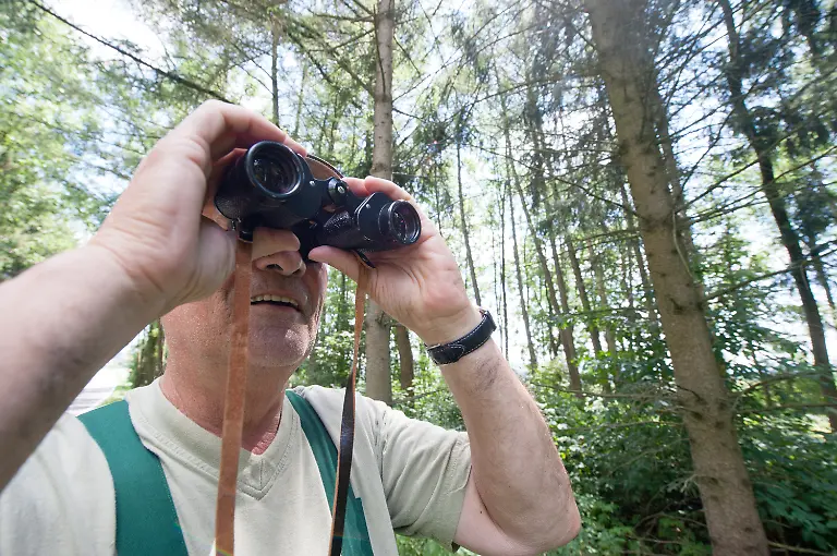 2zgc3058-jpg5328155848946215189