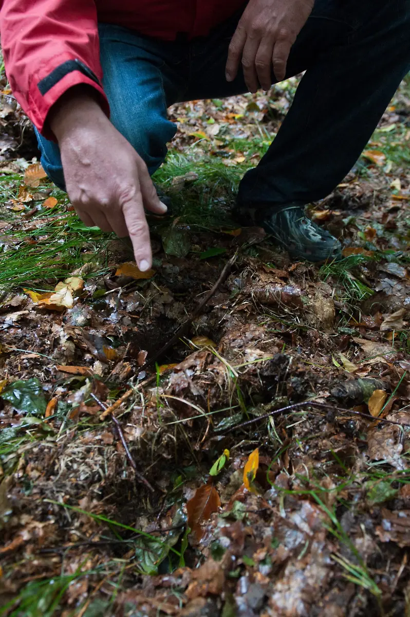 2zh23328-jpg1815427325383057557