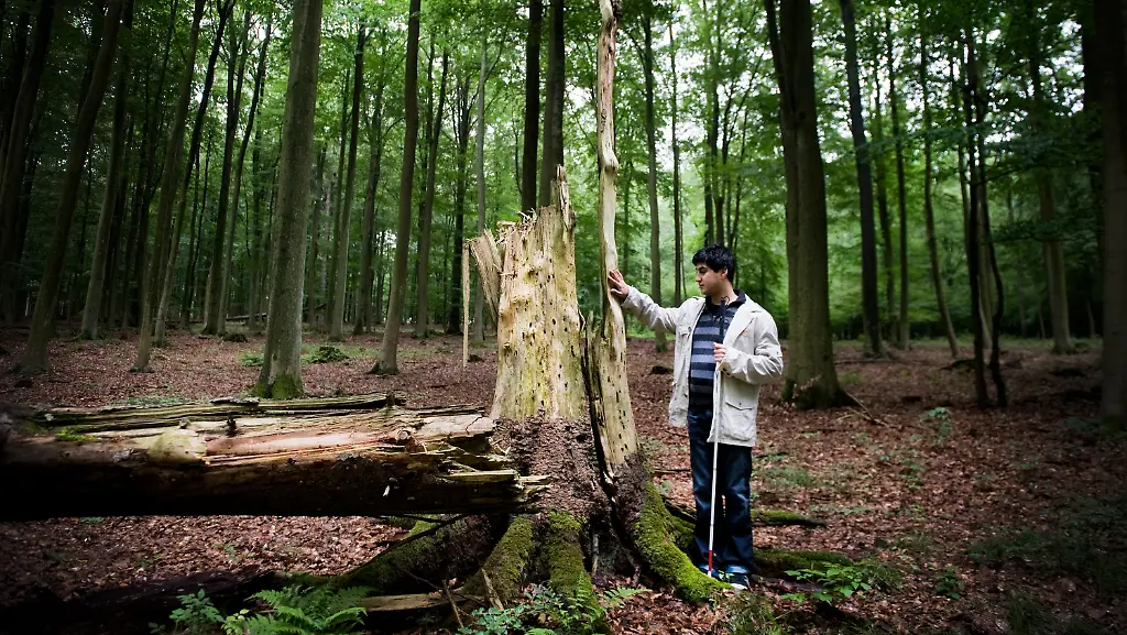 2zg50348-jpg8435585010133992643