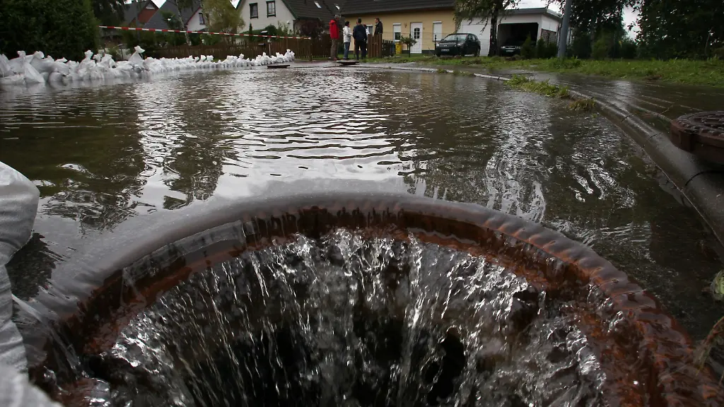 2zgz4156-jpg2339503071032443614