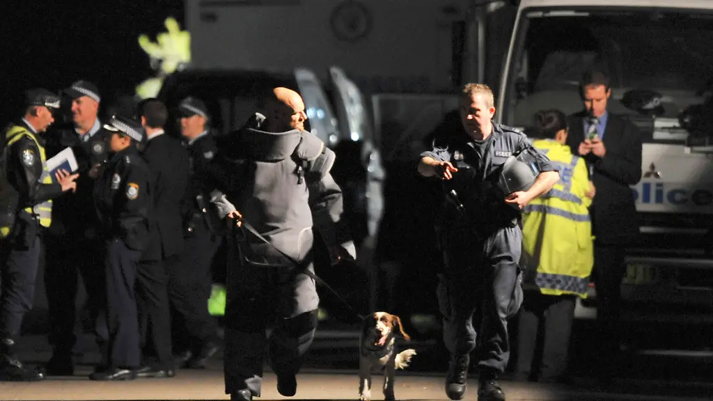 1312416554-jpg3863144368570558944