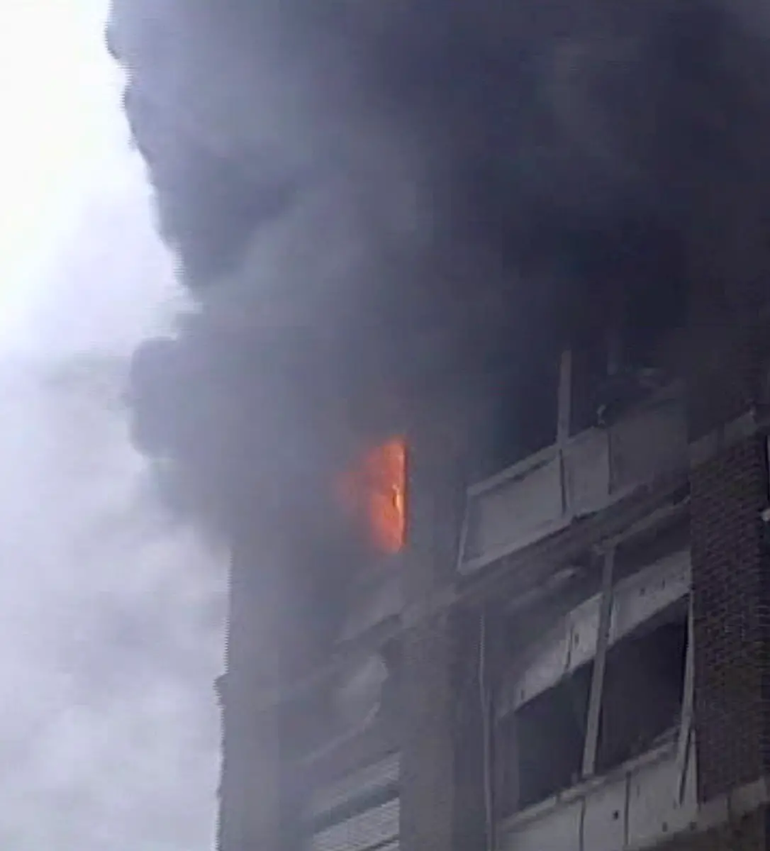 DAB3248-20110722-jpg7566992948124638492