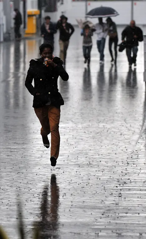 2z5t3317-jpg8726340769983543812