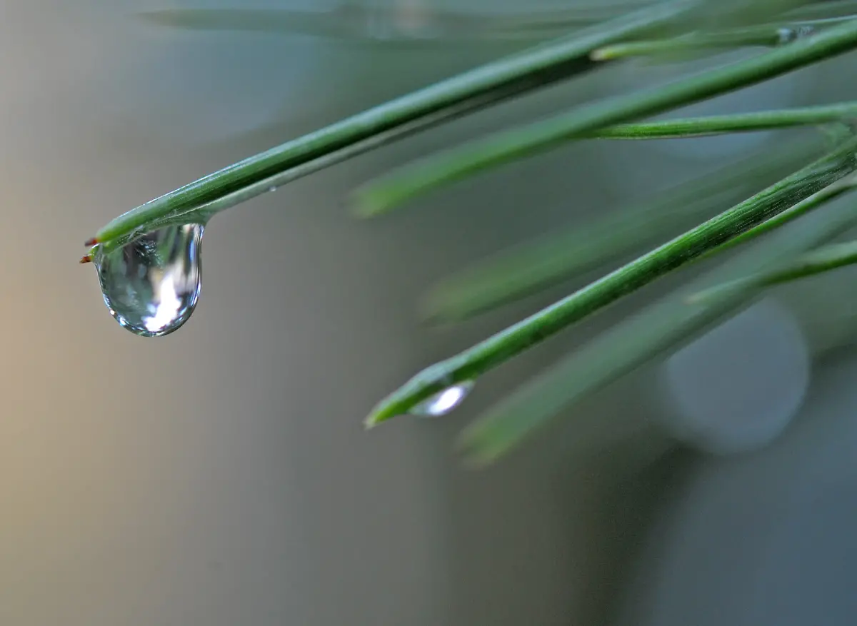 2z650445-jpg4131161271630481438