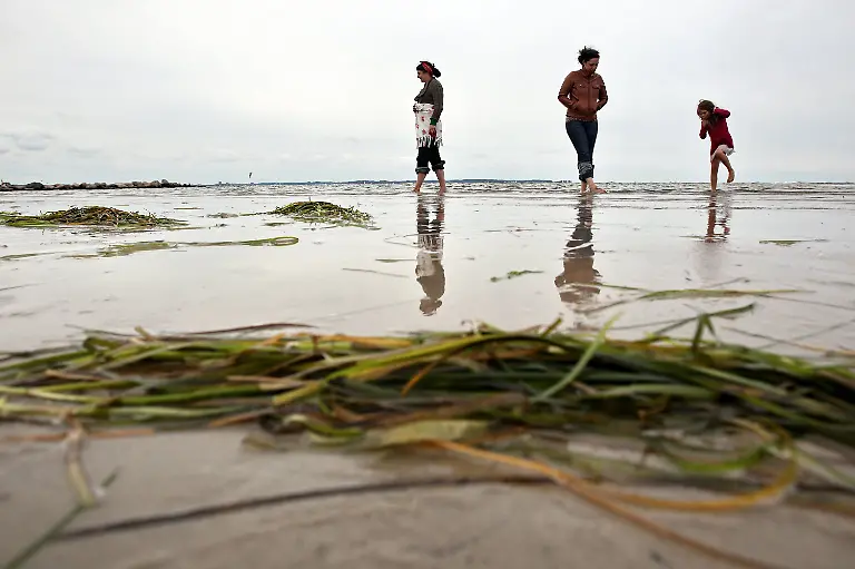 2z650441-jpg1657779350192573514