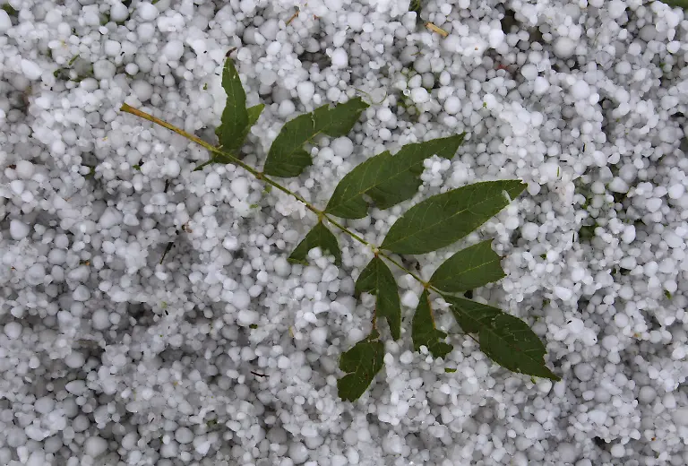 2z4k4701-jpg4310528183905474544