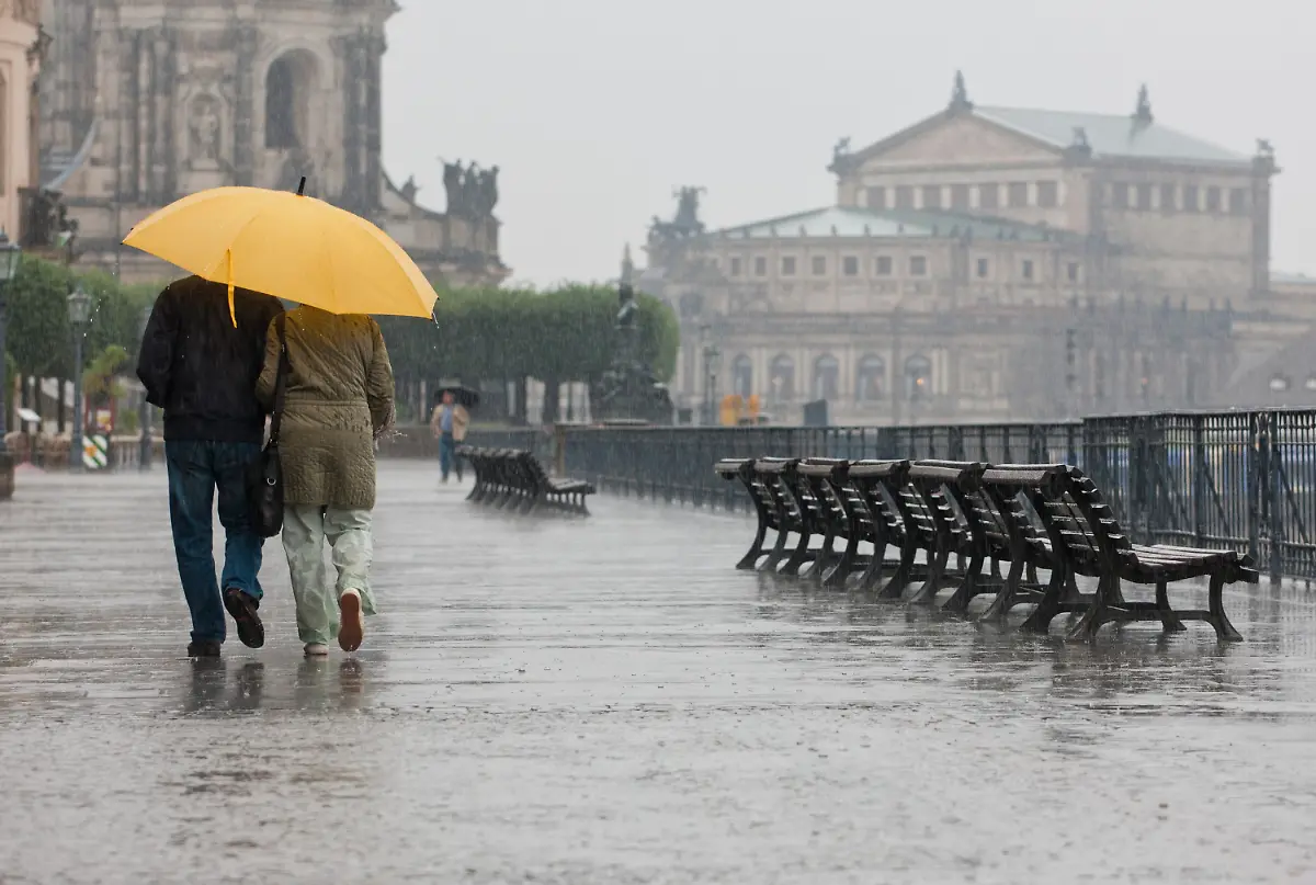 2z4z1154-jpg5427541571491856802