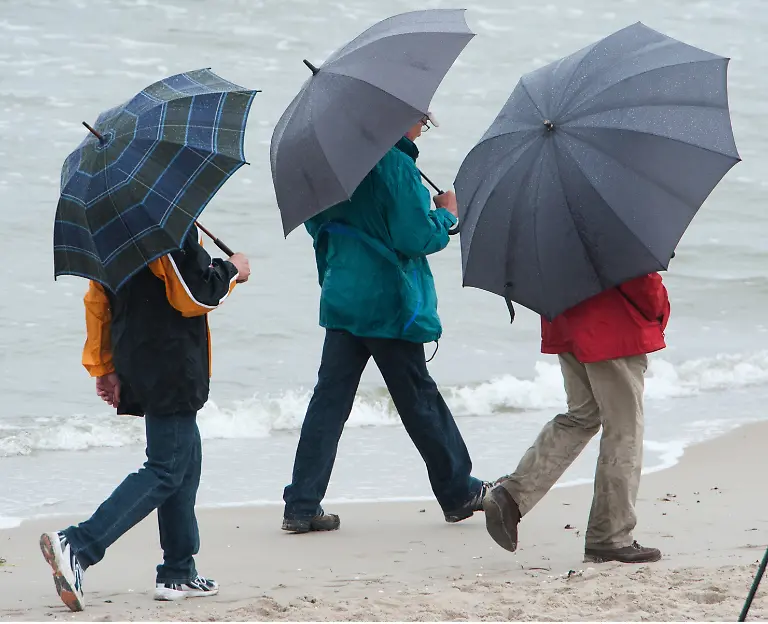 2z5p5902-jpg7701386115771413545