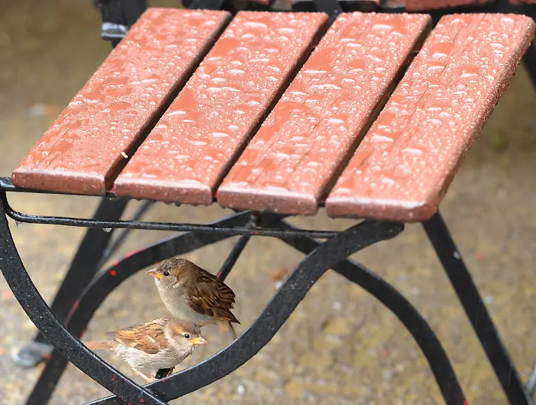 2z5t4750-jpg7378727720392067723