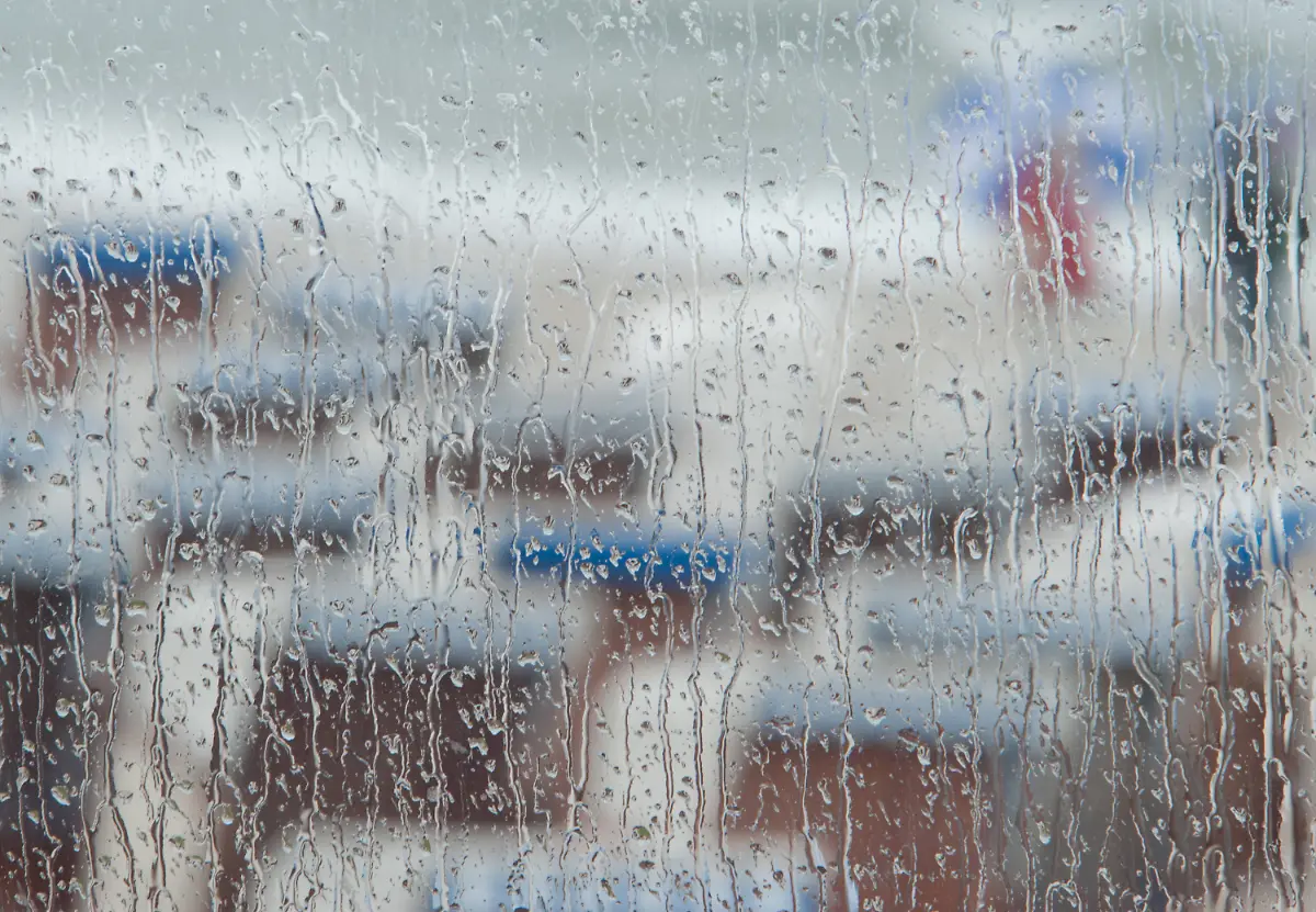 2z5p4036-jpg6987626798475879583