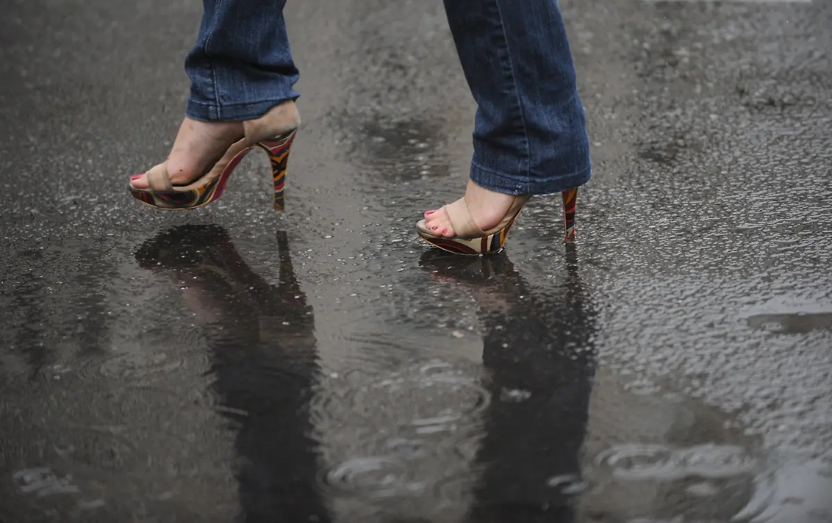 2z5r4338-jpg1858867936807150616