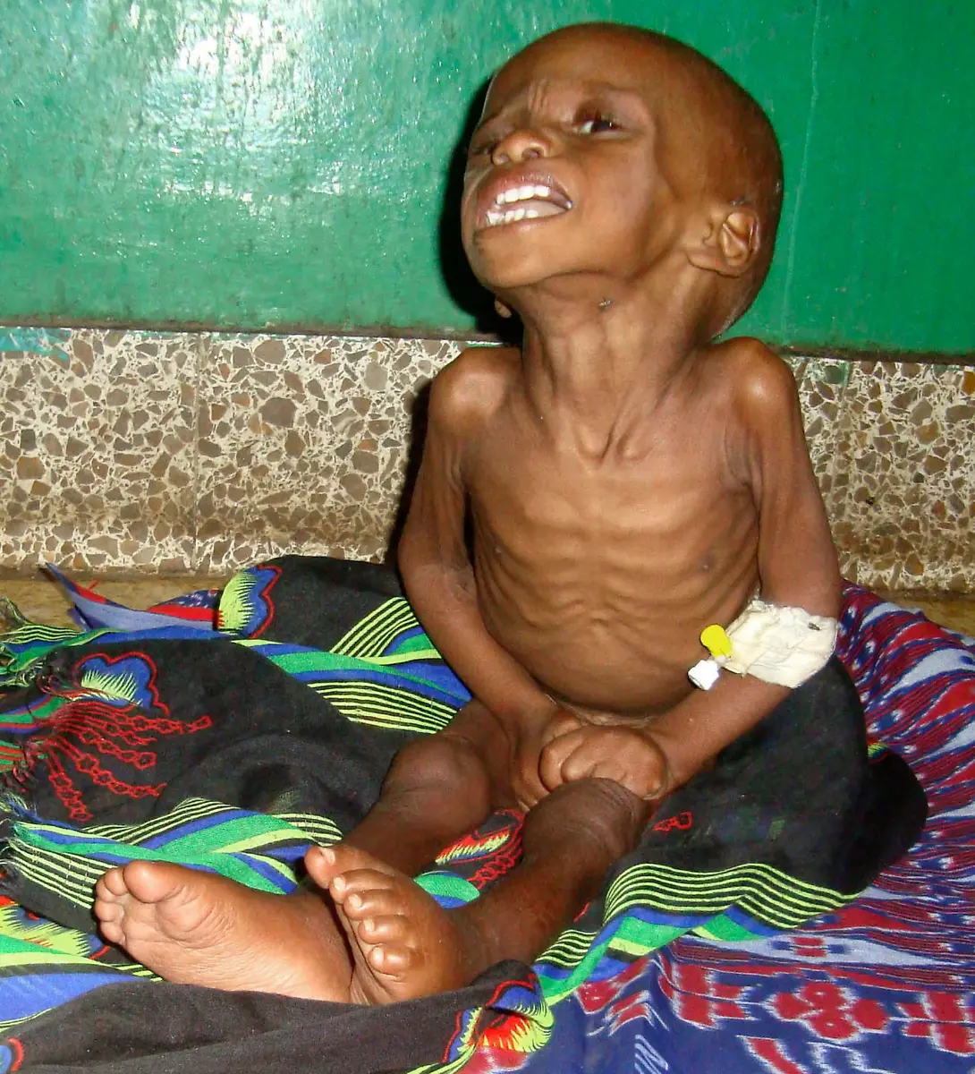 1310646904-jpg6639215316617108841