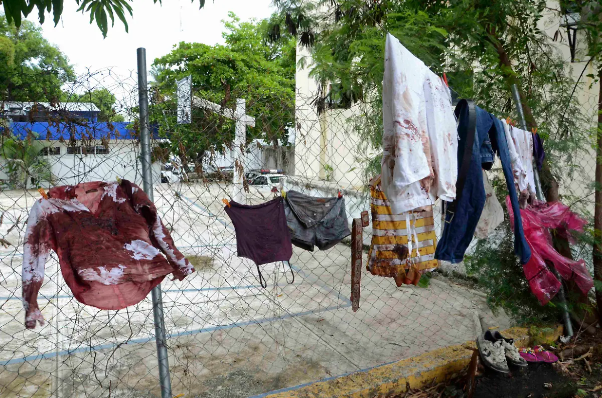 1310873990-jpg3217592980460298973