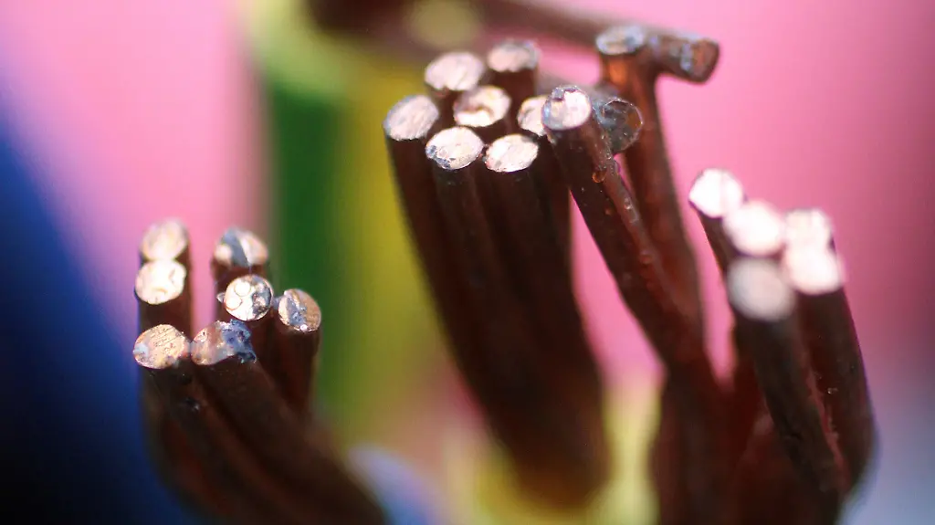 DI10265-20110712-jpg8063852601345346214