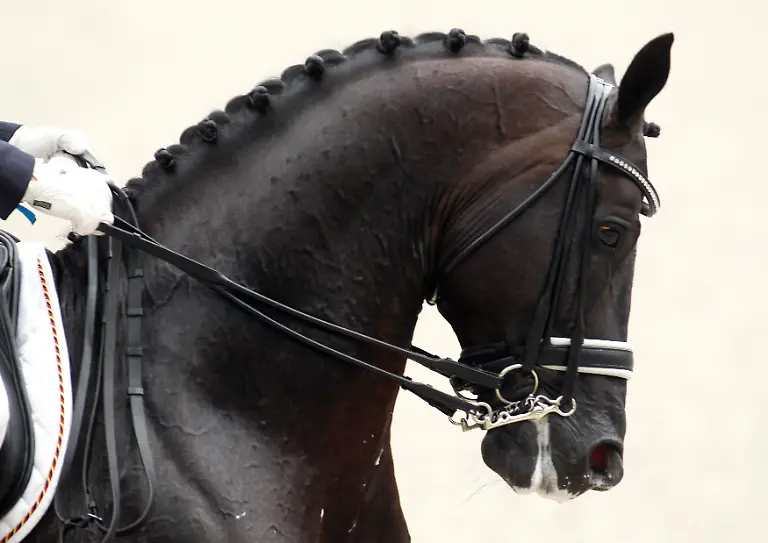 2011-07-14T150109Z-01-INA07-RTRMDNP-3-EQUESTRIAN-JPG3723904081075295838