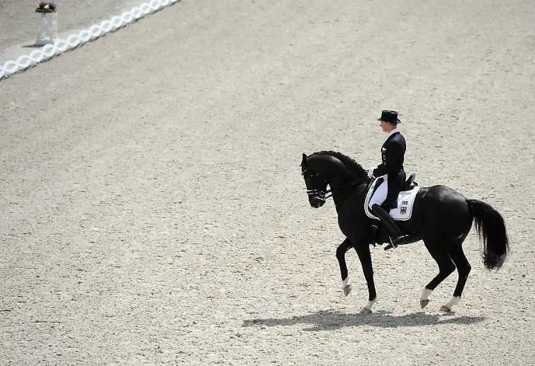 1310902595-jpg529914373721102574