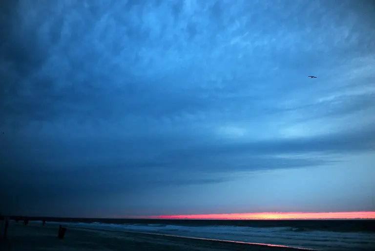 2z0w3715-jpg9066747194460896267