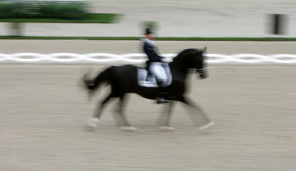 2z140541-jpg1346306065059834500