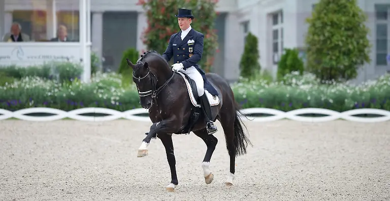 2z143206-jpg6398224504092052883