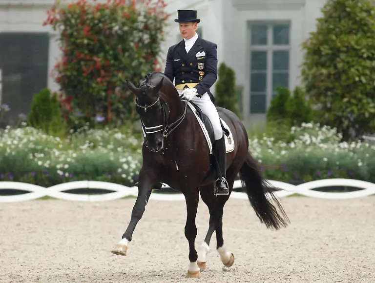 2011-07-14T152018Z-01-INA12-RTRMDNP-3-EQUESTRIAN-JPG5318923279343320384