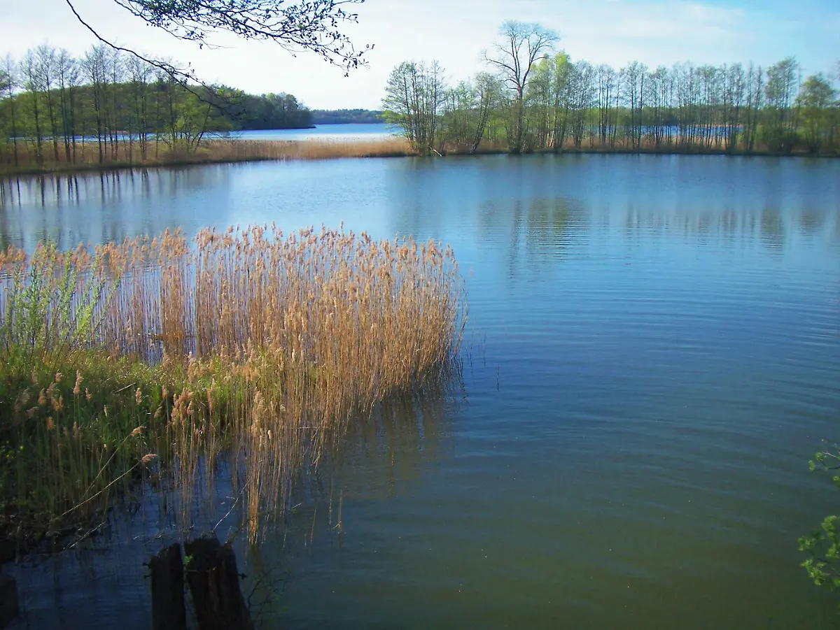 Biosphaere-Schaalsee-AutorHeidrunKoegler