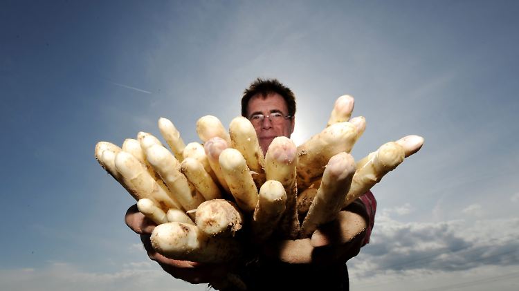 spargel.jpg