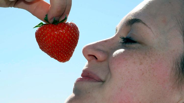 erdbeeren.jpg