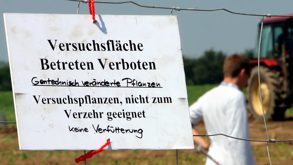 2yxt3903-jpg7310719115996332847