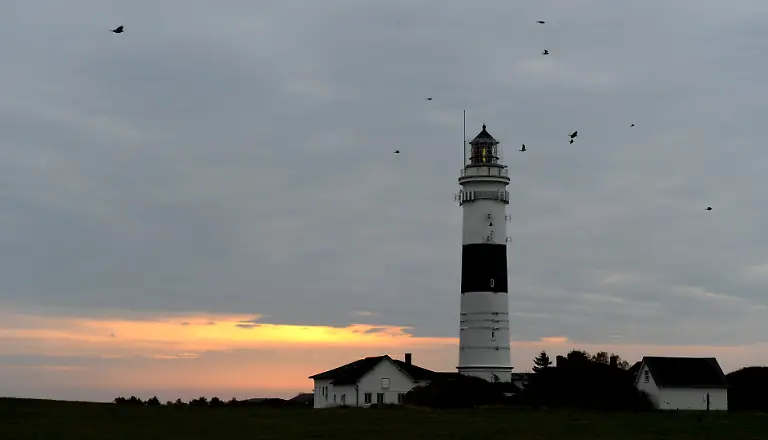 sylt3