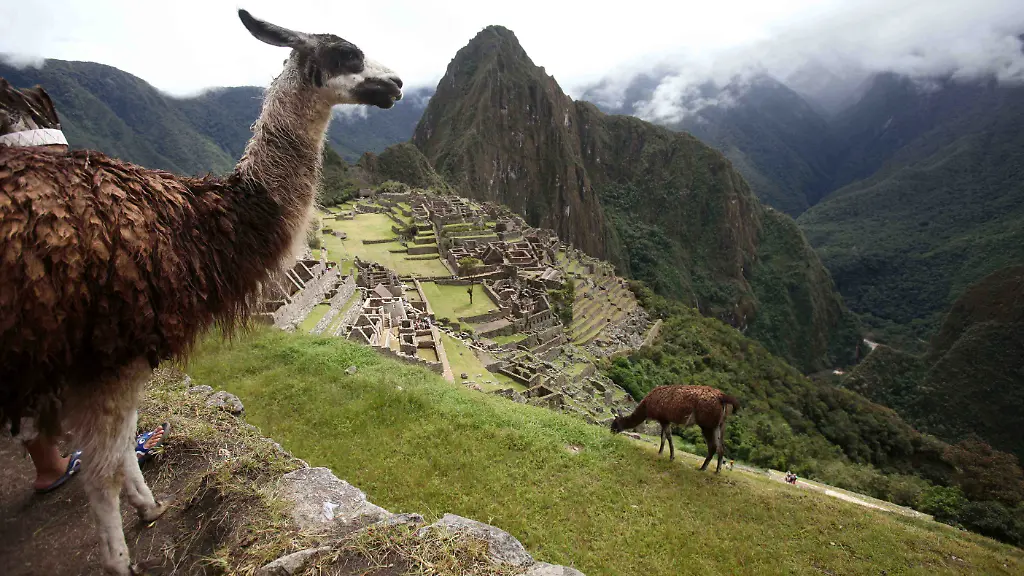 1309877613-jpg7134781243573674174