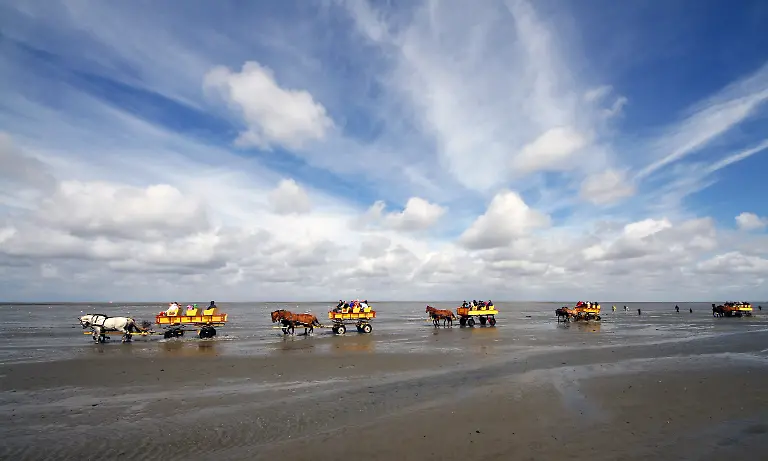 1308840342-jpg3273085457782027968