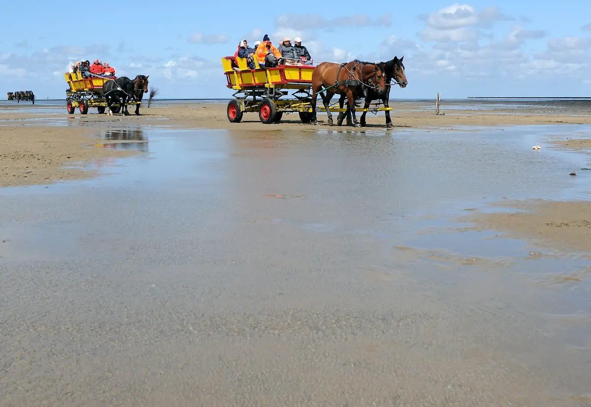 2yn42645-jpg6692751568790512009