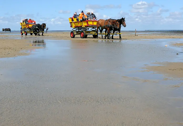 2yn42645-jpg6692751568790512009