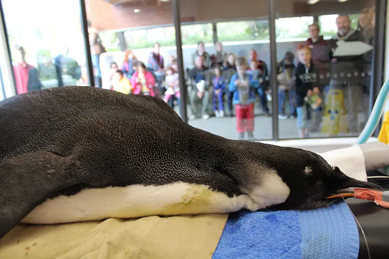 2yo65824-jpg91963858576204030