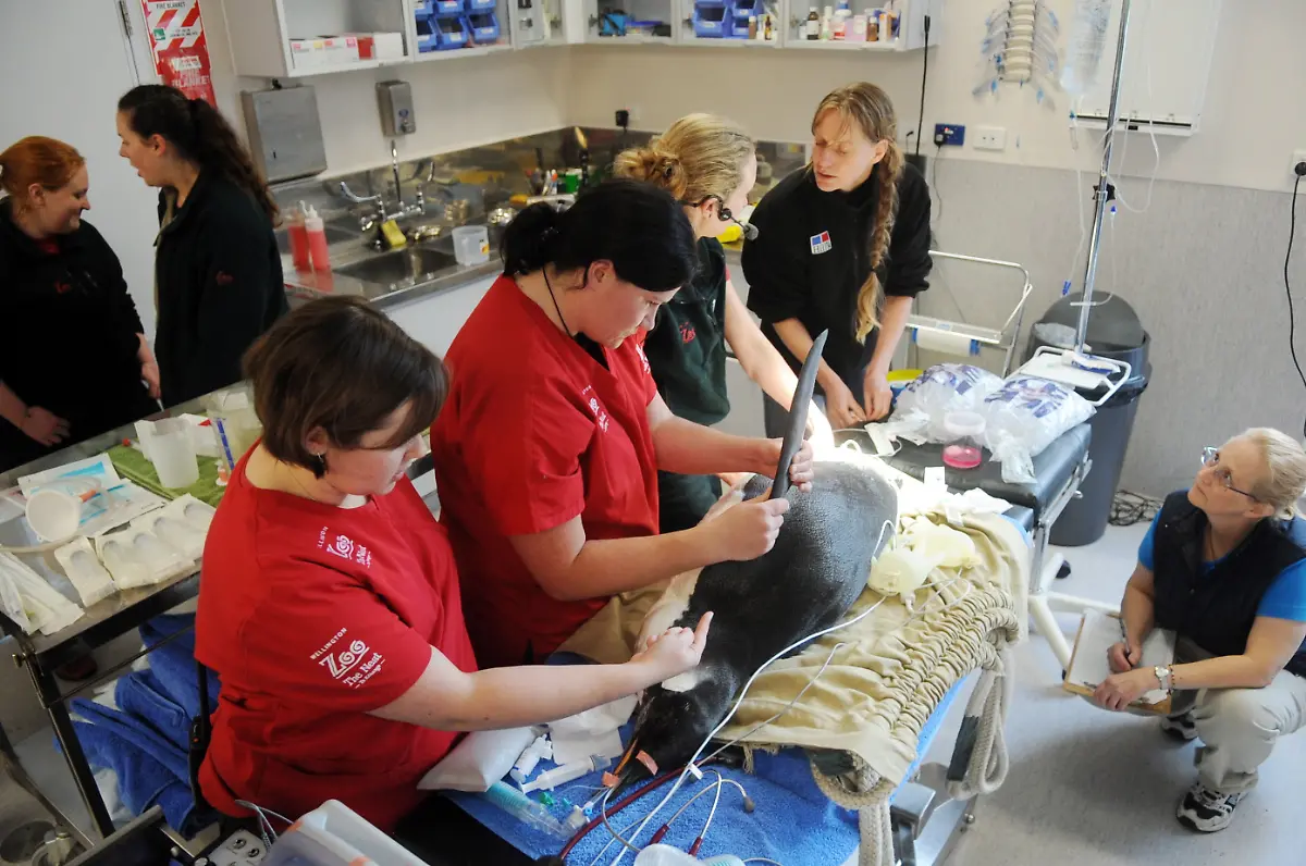 2yo65826-jpg2392733330679059289