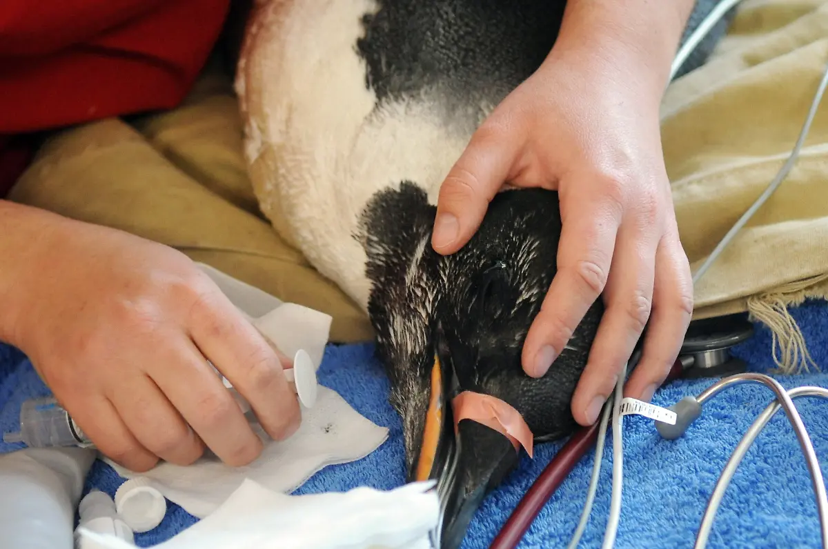 2yo65710-jpg7082165575433099385