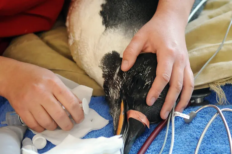 2yo65710-jpg7082165575433099385