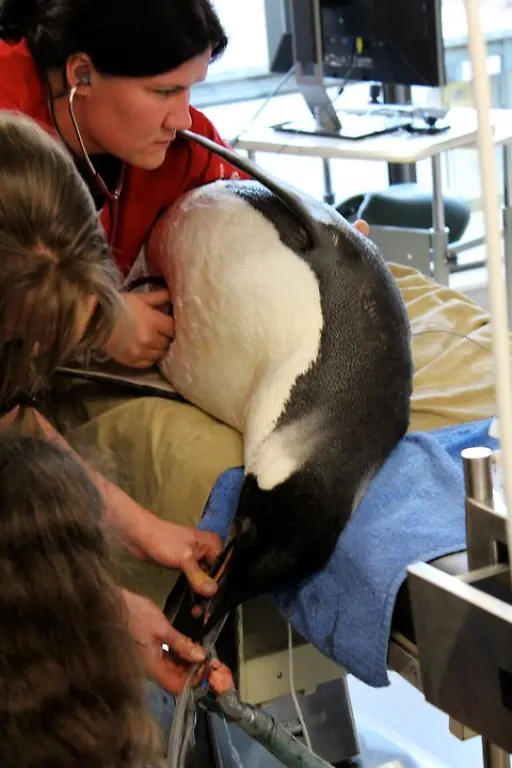 1309004025-jpg5489582671803886803