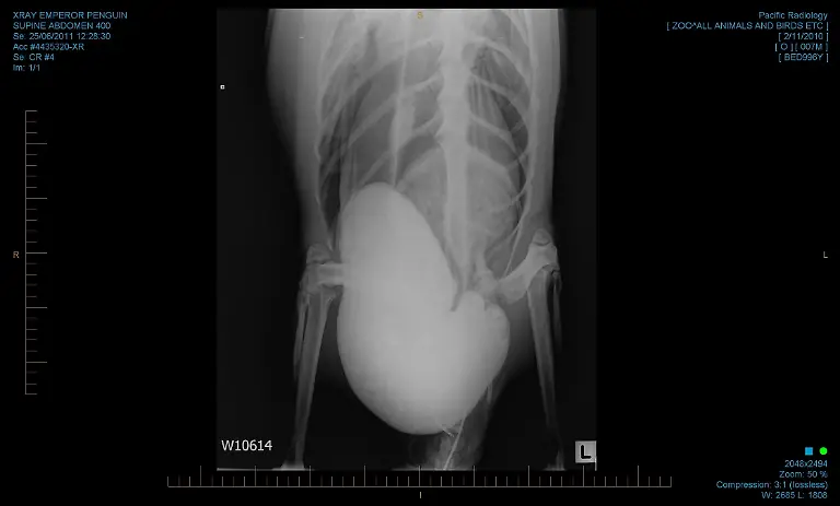 2yo65810-jpg1935066737544397998