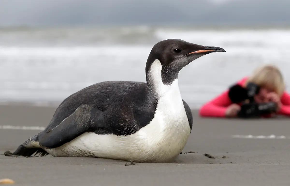 DAB0597-20110622-jpg5925060392213974275