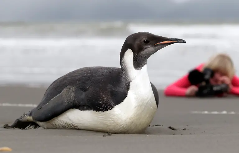 DAB0597-20110622-jpg5925060392213974275