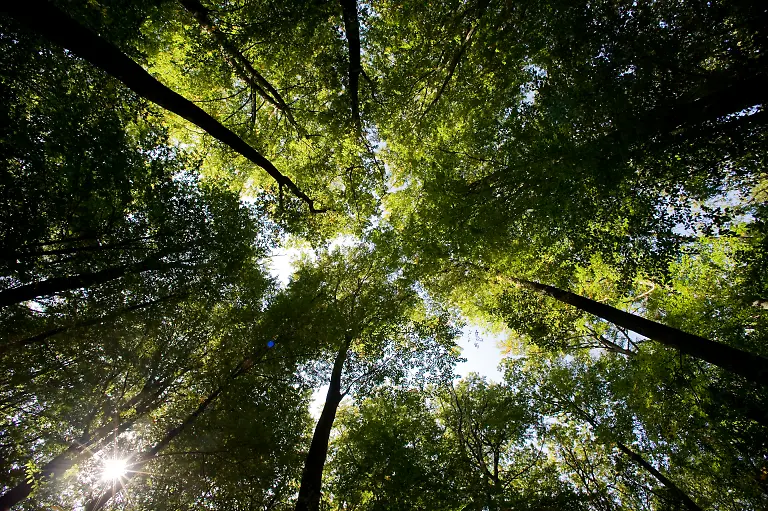 DI10058-20110625-jpg3616362812449217023